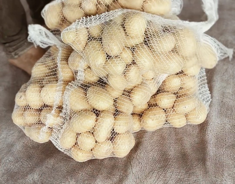 شوال بطاطا